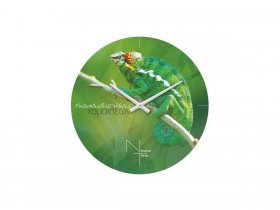 Часы настенные Nicole Time NT503 в Легостаево - legostaevo.mebel-nsk.ru | фото